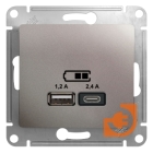 Розетка USB двойная (5В, 2.4А) тип A + тип С, платина, Glossa, пр-во Schneider Electric (GSL001239)