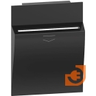 Лицевая панель для для карточных выключателей арт. K4549, K4548, 2 модуля, цвет чёрный, серия Living Now, пр-во BTicino (KG22M2)
