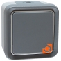 Коробка 1 пост, серый, для накладного монтажа, IP55, серия Plexo, пр-во Legrand (069651) - С механизмом 1кл. выключателя