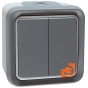 Коробка 1 пост, серый, для накладного монтажа, IP55, серия Plexo, пр-во Legrand (069651) - С механизмом 2кл. выключателя