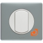 Комплект одинарного переключателя (выключателя), белый, Celiane, пр-во Legrand (к067001+068001+080251) - С рамкой цвет грей