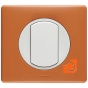 Комплект одинарного переключателя (выключателя), белый, Celiane, пр-во Legrand (к067001+068001+080251) - С рамкой цвет корица