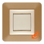 Накладка для защиты обоев под один выключатель или розетку, цвет золото, пр-во Zamel (OSX-910M gold) - С выключателем